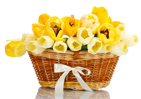 Beautiful tulips in basket isolated on white — Stock Photo, Image