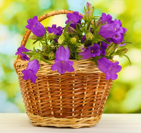 Blue bell flowers in basket on wooden table on green background — Stock Photo, Image