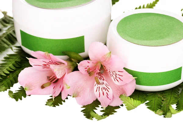 Jars of cream with flower on branch of fern close-up — Stock Photo, Image