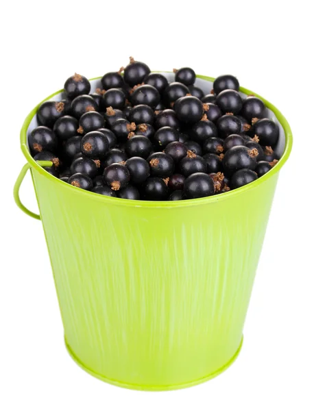 Black currant in metal bucket isolated on white — Stock Photo, Image