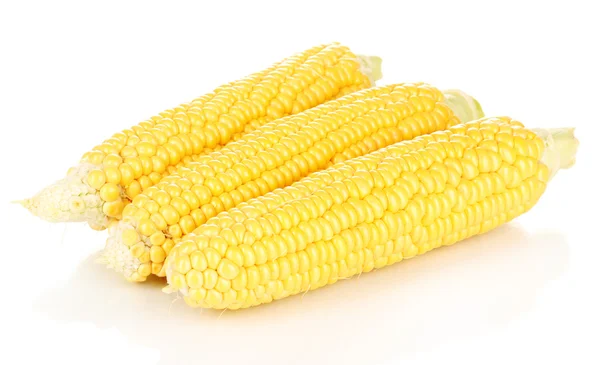 Mazorcas de maíz frescas aisladas en blanco —  Fotos de Stock