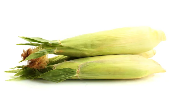 Frischer Mais isoliert auf weiß — Stockfoto