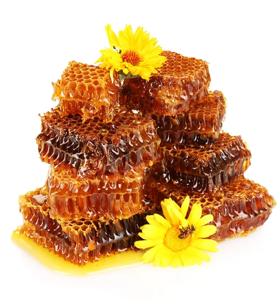 Sweet honeycomb with honey, bee on flowers, isolated on white — Stock Photo, Image