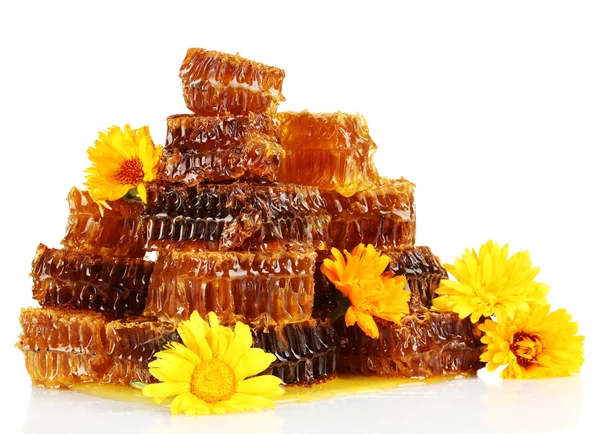 Favos de mel doces com mel e flores, isolados em branco — Fotografia de Stock