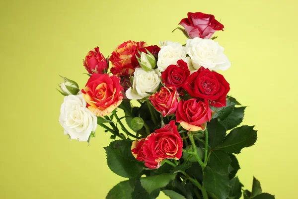 Bouquet de belles roses sur fond vert gros plan — Photo
