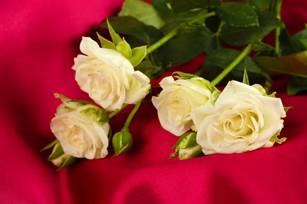 Wunderschöne weiße Rosen auf rotem Satin in Nahaufnahme — Stockfoto
