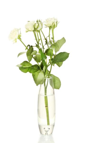 Lindas rosas em vaso de vidro isolado em branco — Fotografia de Stock