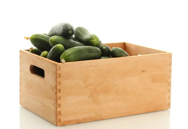Fresh cucumbers in wooden box isolated on white — Stock Photo, Image