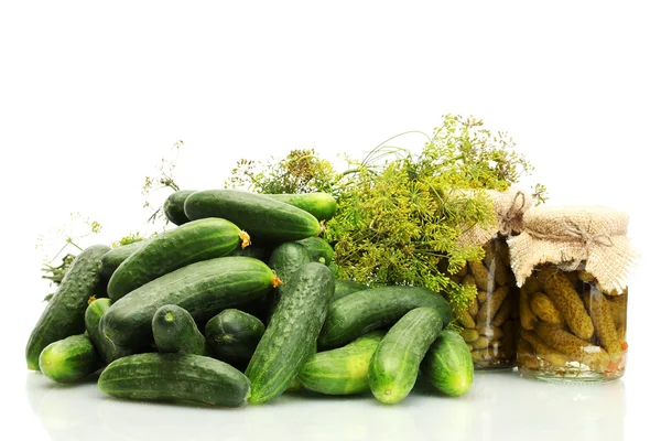 Fresh cucumbers, pickles and dill isolated on white — Stock Photo, Image