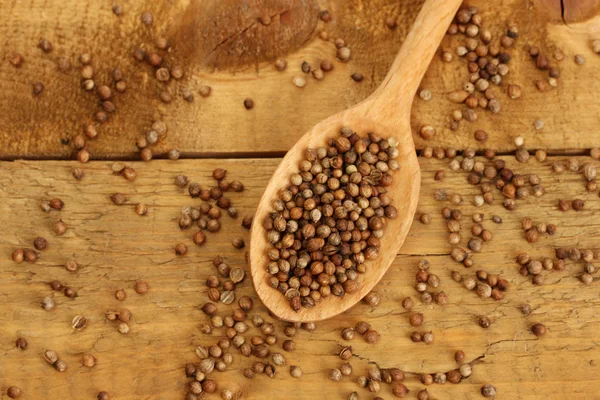 Heap sementes de coentro em colher de madeira no fundo de madeira close-up — Fotografia de Stock