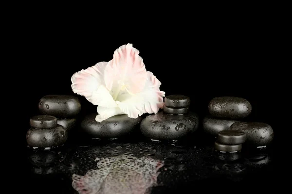 Piedras de spa con capullo de gladiolo aislado en negro — Foto de Stock