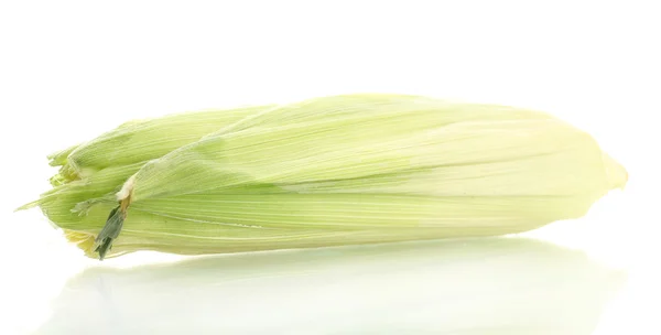 Fresh corn, isolated on white — Stock Photo, Image