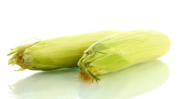 Frischer Mais, isoliert auf weiß — Stockfoto