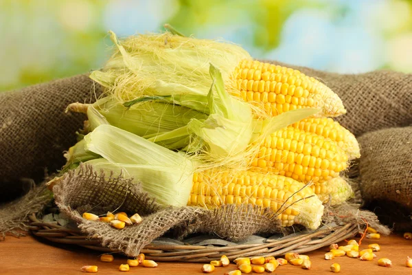 Свіжа кукурудза, на дерев'яному столі, на зеленому фоні — стокове фото