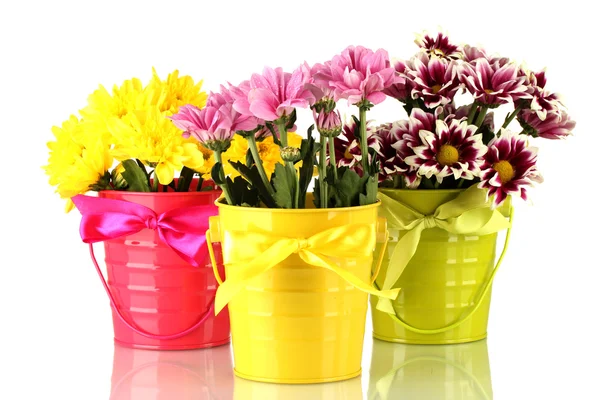 Beautiful bouquet of chrysanthemums in a bright colorful buckets isolated o — Stock Photo, Image