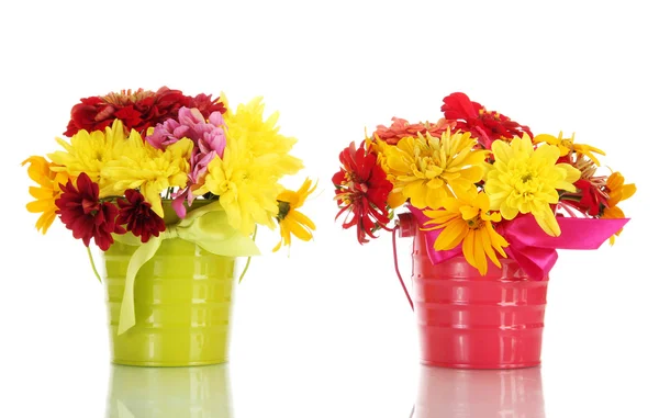 Schöne Sommerblumen in Eimern, isoliert auf weiß — Stockfoto