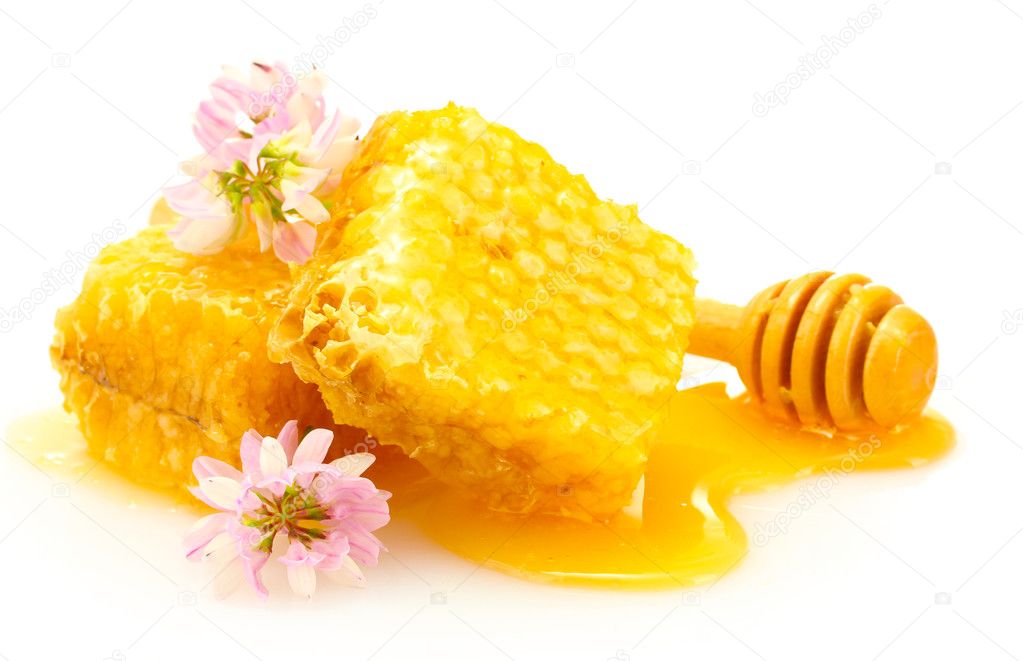 golden honeycombs, wildflowers and wooden drizzler with honey isolated on w