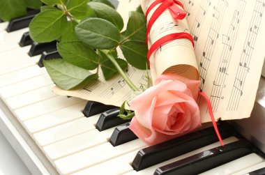 synthesizer klavye gül desenli arka planı