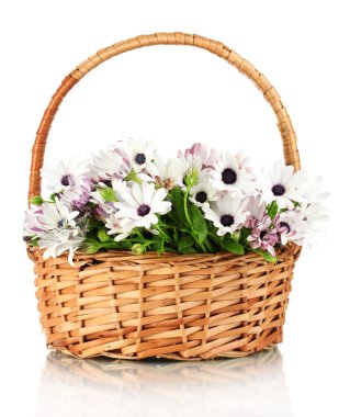 buket üzerinde beyaz izole güzel yaz çiçek sepeti,