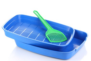 beyaz izole mavi plastik çöp kedi