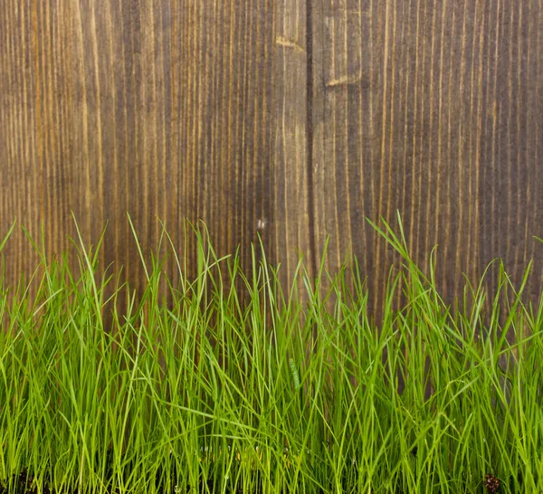 Erba verde su sfondo di legno — Foto Stock
