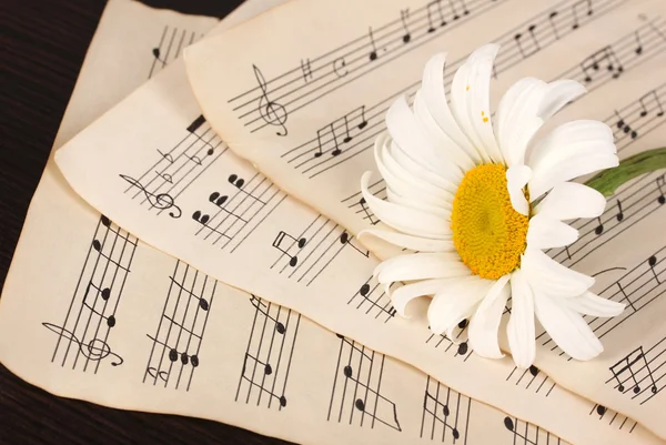 Musical notes and flower on wooden table — Stock Photo, Image