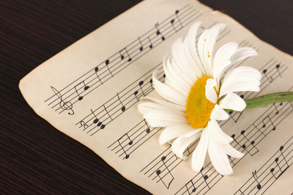 Musical notes and flower on wooden table