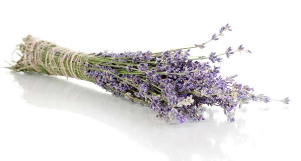 Flores de lavanda aisladas en blanco —  Fotos de Stock