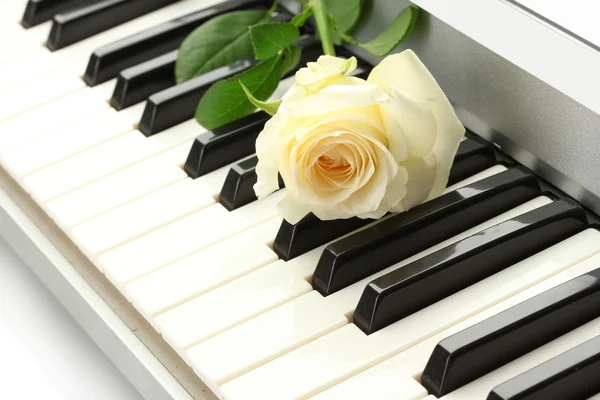 Background of synthesizer keyboard with rose — Stock Photo, Image