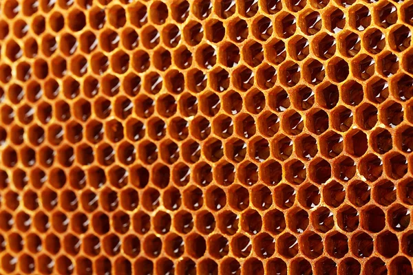Giallo bel favo con miele, sfondo — Foto Stock