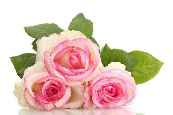 Bellissimo bouquet di rose rosa isolato su bianco — Foto Stock