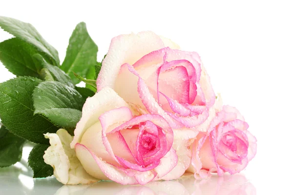 Krásná kytice růžových růží izolovaných na bílém — Stock fotografie