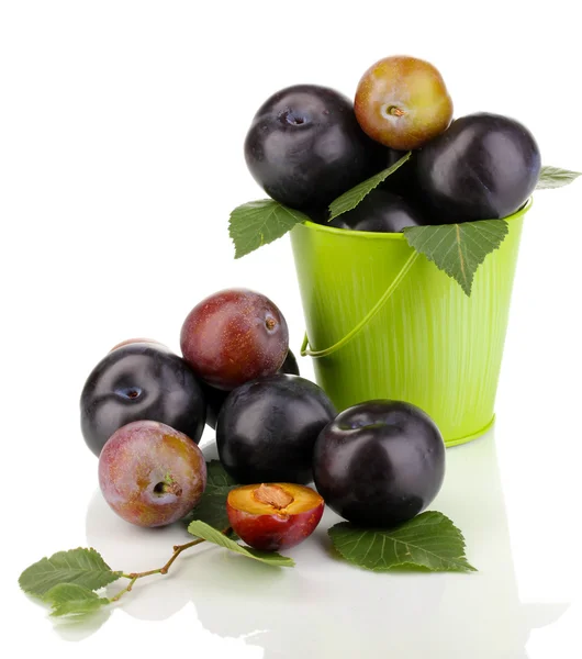 Rip plums in pail isolated on white — Stock Photo, Image
