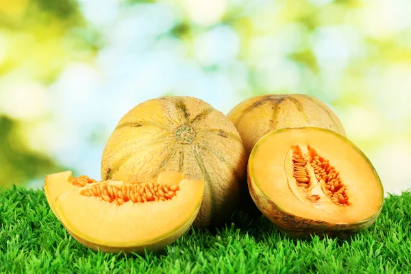 Tasty melons on grass on green background — Stock Photo, Image