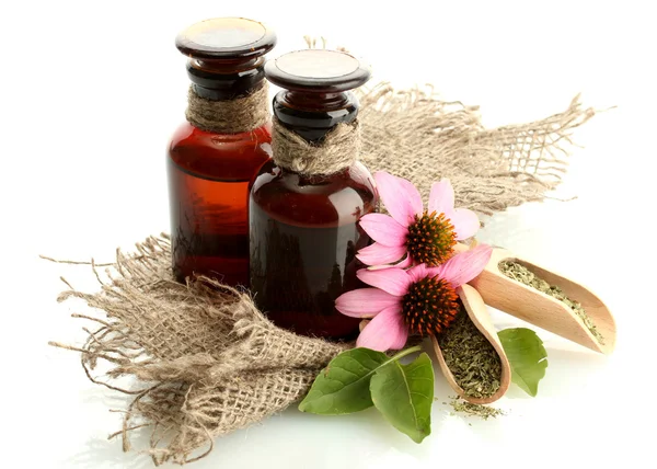 Flaconi di medicinale con echinacea viola, isolati su bianco — Foto Stock