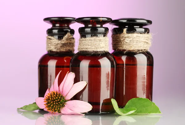 Medicine bottles with purple echinacea, on pink background — Stock Photo, Image