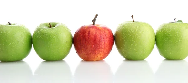 Ripe green apples and one red apple isolated on white — Stock Photo, Image