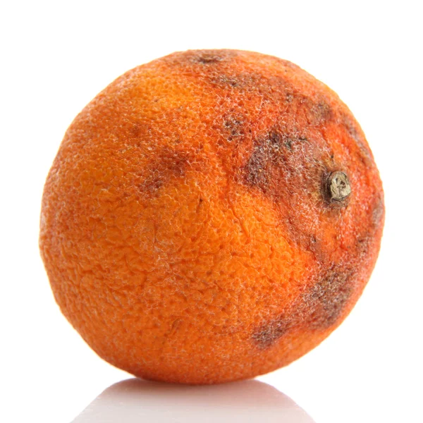 Σάπια πορτοκαλί απομονωθεί σε λευκό — Φωτογραφία Αρχείου