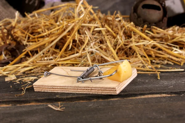Ποντικοπαγίδα με ένα κομμάτι του close-up τυρί σε αχυρώνα σε ξύλινα φόντο — Φωτογραφία Αρχείου