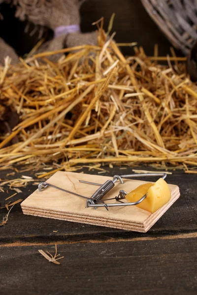 Mousetrap met een stuk kaas close-up in schuur op houten achtergrond — Stockfoto