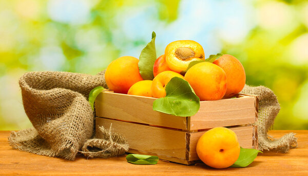 ripe apricots with leaves in wooden box on wooden table on green background
