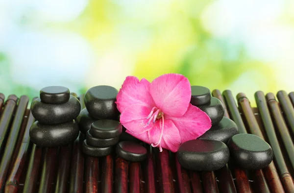 Spa stones with gladiolus bud on bamboo mat close-up — Stock Photo, Image
