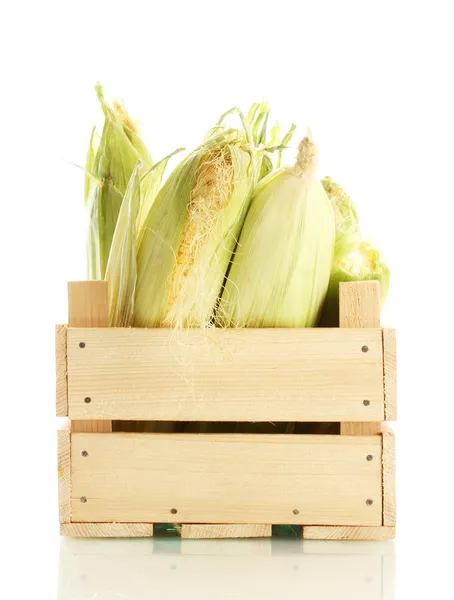 Čerstvé kukuřice v dřevěné krabici, izolované na bílém — Stock fotografie