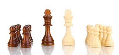 Satranç taşları beyaz üzerine izole
