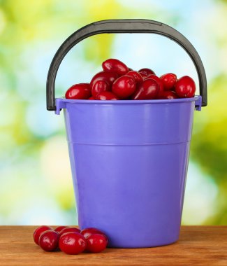 yeşil renkli yakın çekim kovanın içinde taze cornel çilek