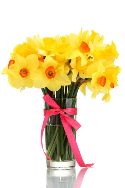 Beautiful yellow daffodils in transparent vase with bow isolated on white — Stock Photo, Image