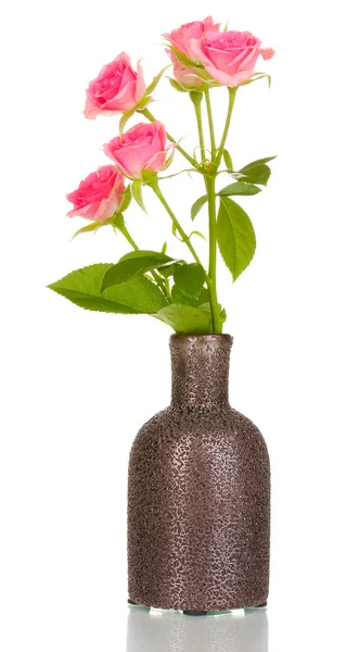 Pink roses in vase isolated on white — Stock Photo, Image