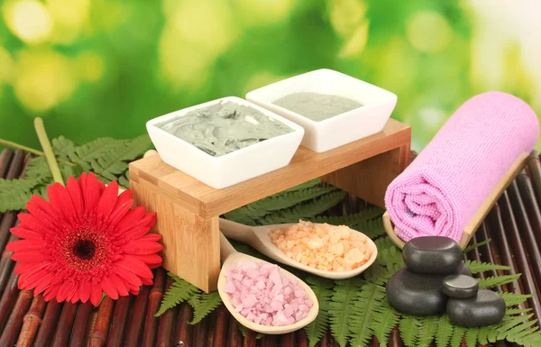 Kosmetik-Ton für Wellness-Behandlungen isoliert auf farbenfrohem grünen Hintergrund — Stockfoto