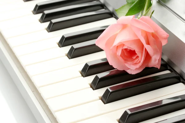 Background of synthesizer keyboard with rose — Stock Photo, Image