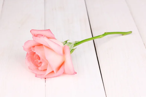 Pink rose on wooden background — Stock Photo, Image